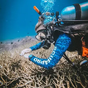 https://dpm-koh-tao-diving-hotel-bar.tophotelskohtao.com